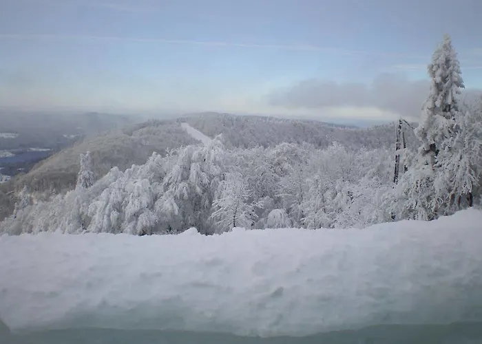 Restaurant L Echo Du Hotel